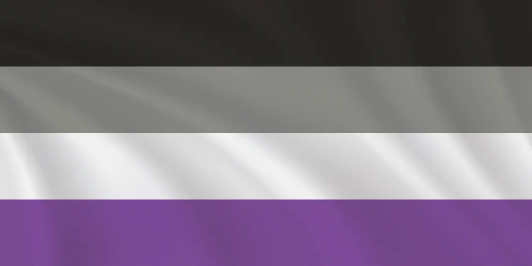 Bandeira do orgulho Assexual.