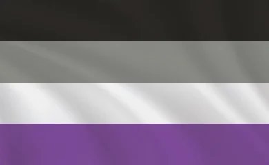 Bandeira do orgulho Assexual.